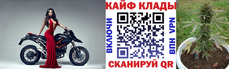 Конопля Лахденпохья