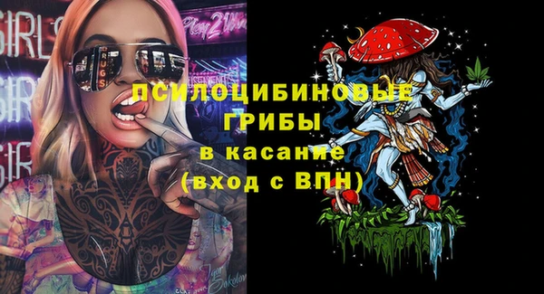 СК Арсеньев